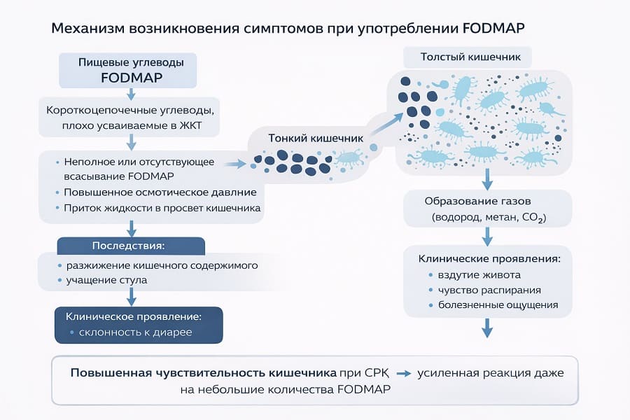 Диета FODMAP