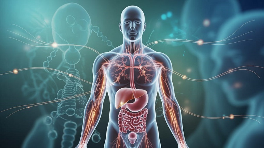 Коррекция метаболических нарушений
