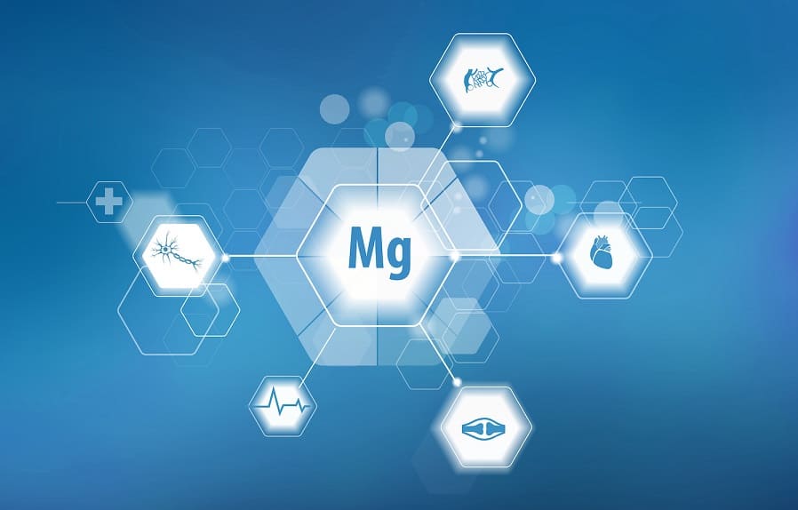 Роль магния в организме человека