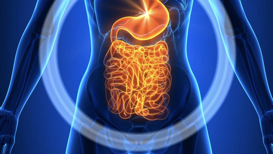 Формы магния и биодоступность — что лучше?