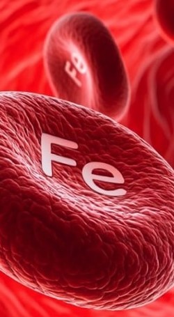 Что такое полимальтозный комплекс железа III