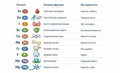 10 важнейших микроэлементов: роль в организме и приоритет магния
