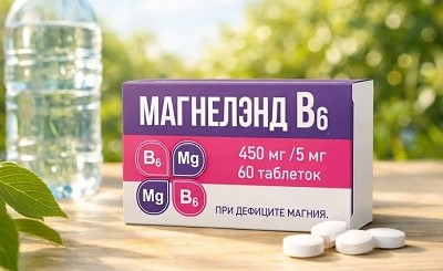 Магнелэнд В6: оптимальный выбор магния для летнего периода и подготовки к поступлению