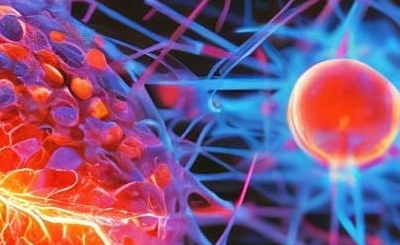 Тиазолин – один препарат для защиты сердца и печени