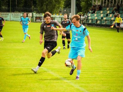 Фармлэнд партрен ГСК Городея