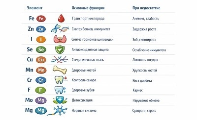 10 важнейших микроэлементов: роль в организме и приоритет магния 10 важнейших микроэлементов: роль в организме и приоритет магния