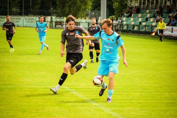 Фармлэнд партрен ГСК Городея