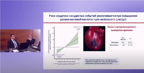 Клинические ниши для препарата Лозартан (органопротективные эффекты)